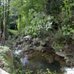 le cascate il ponte medievale ed i sentieri naturalistici 4 sito pro loco gioi cardile